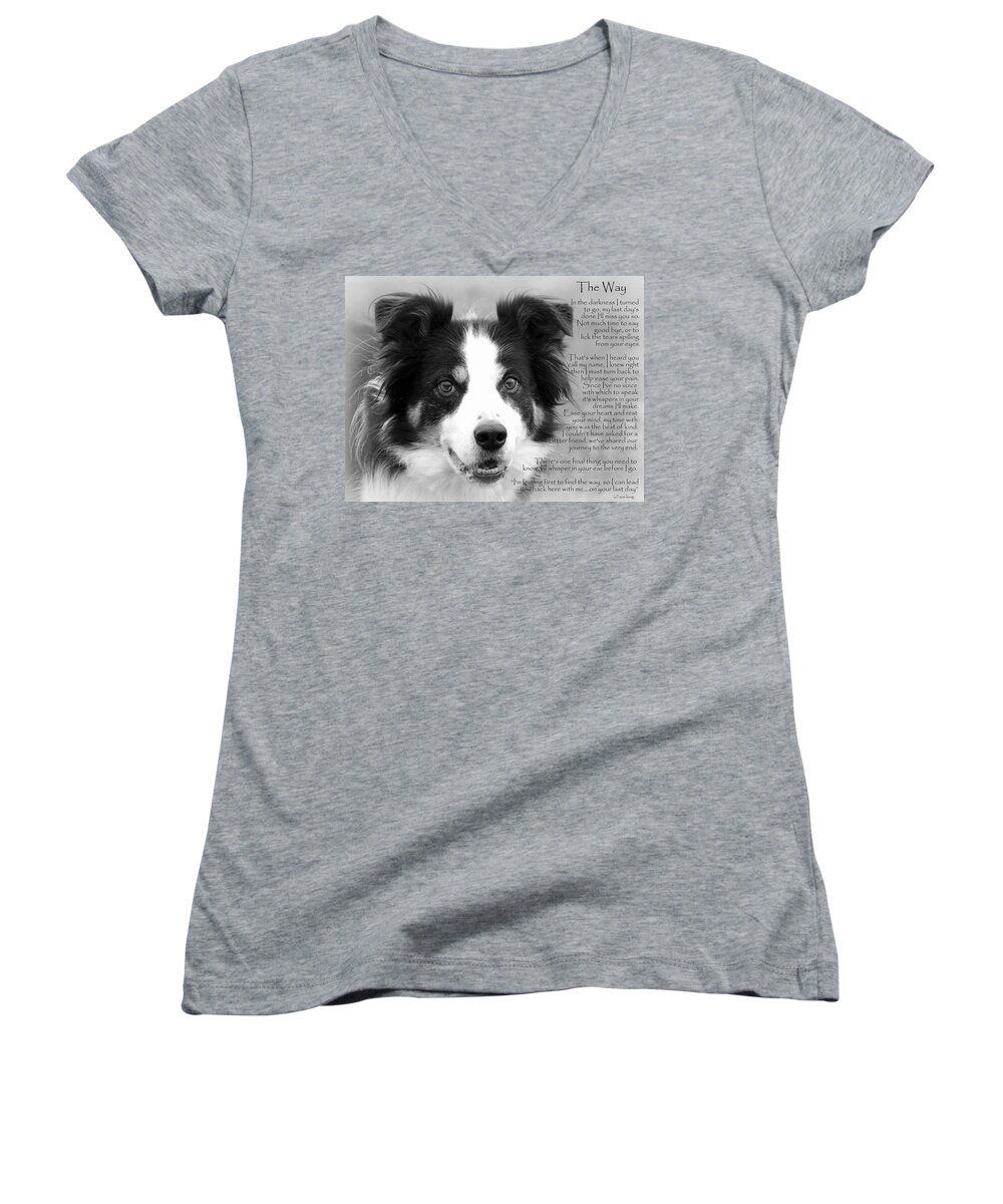 Border Collies Women's V-Neck featuring the photograph Border Collie The Way BW  by Sue Long