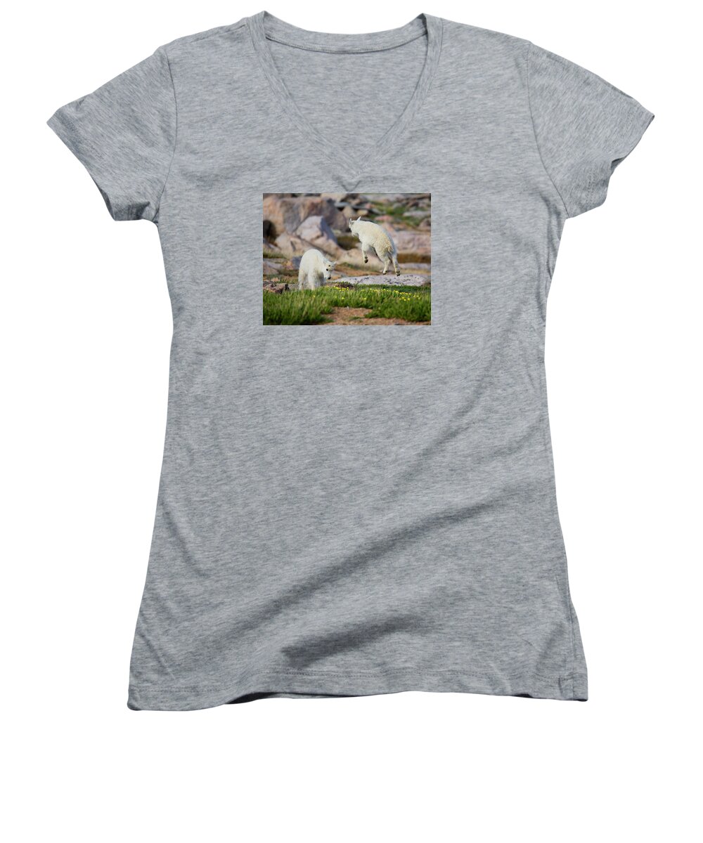 Mountain Goats Women's V-Neck featuring the photograph Bounder by Jim Garrison