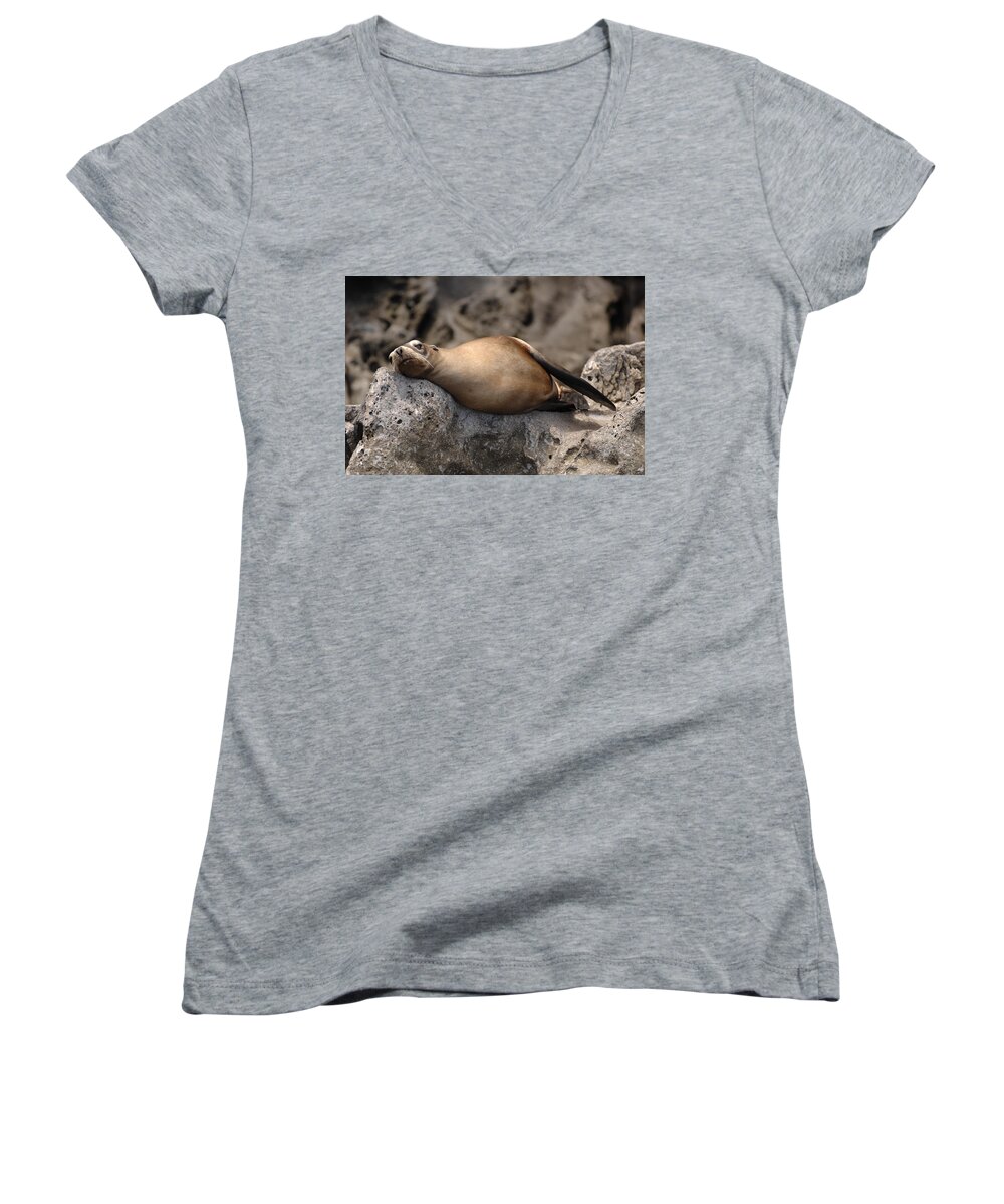 Seadvertisement Women's V-Neck featuring the photograph Break Time by David Shuler