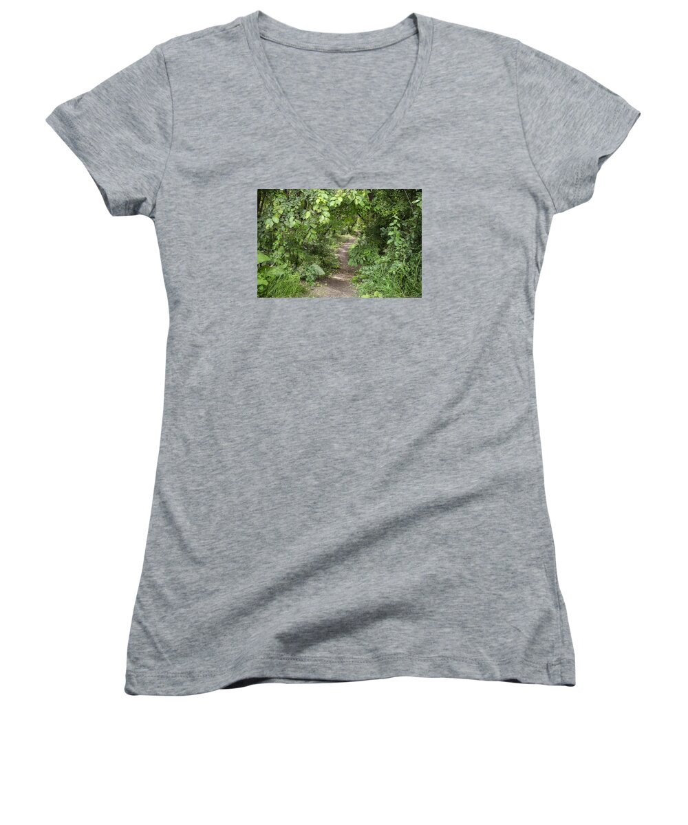 Forest Women's V-Neck featuring the photograph Bright Path in Leafy Forest by Lynn Hansen