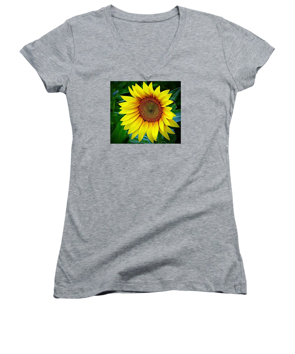 Sunflower Women's V-Neck featuring the photograph Brighten Your Day by Karen McKenzie McAdoo