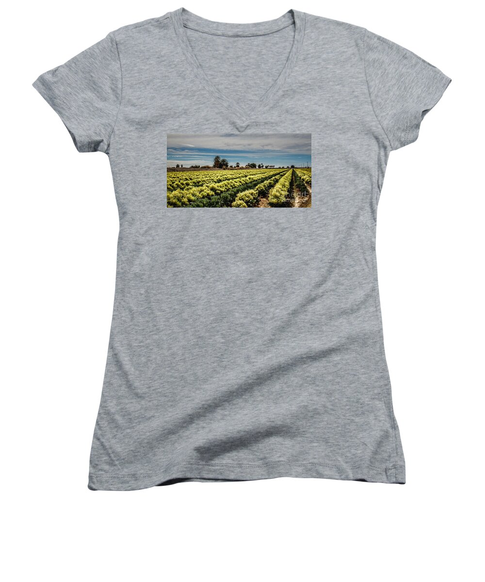 Broccoli Women's V-Neck featuring the photograph Broccoli Seed by Robert Bales