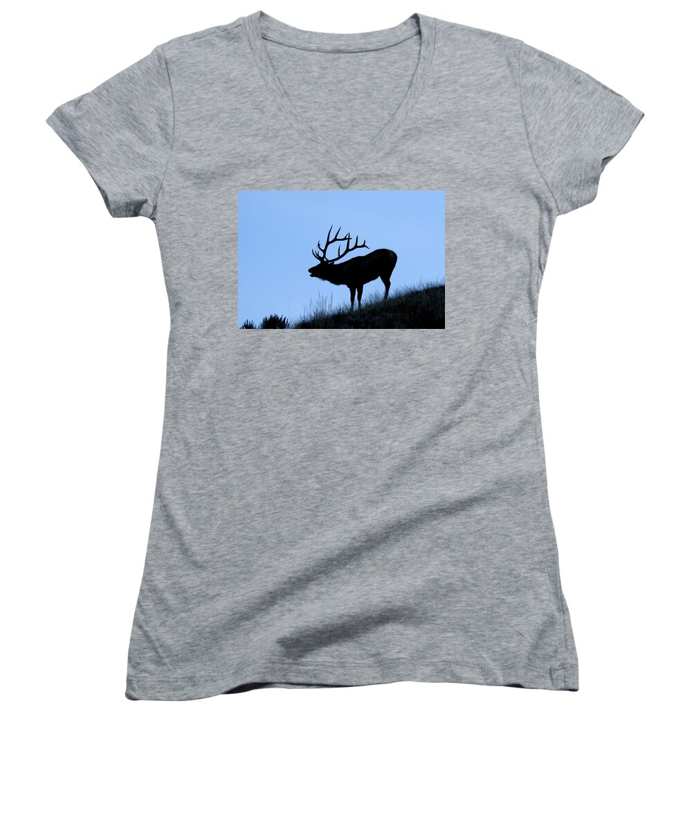 Yellowstone National Park Women's V-Neck featuring the photograph Bull Elk Silhouette by Larry Ricker