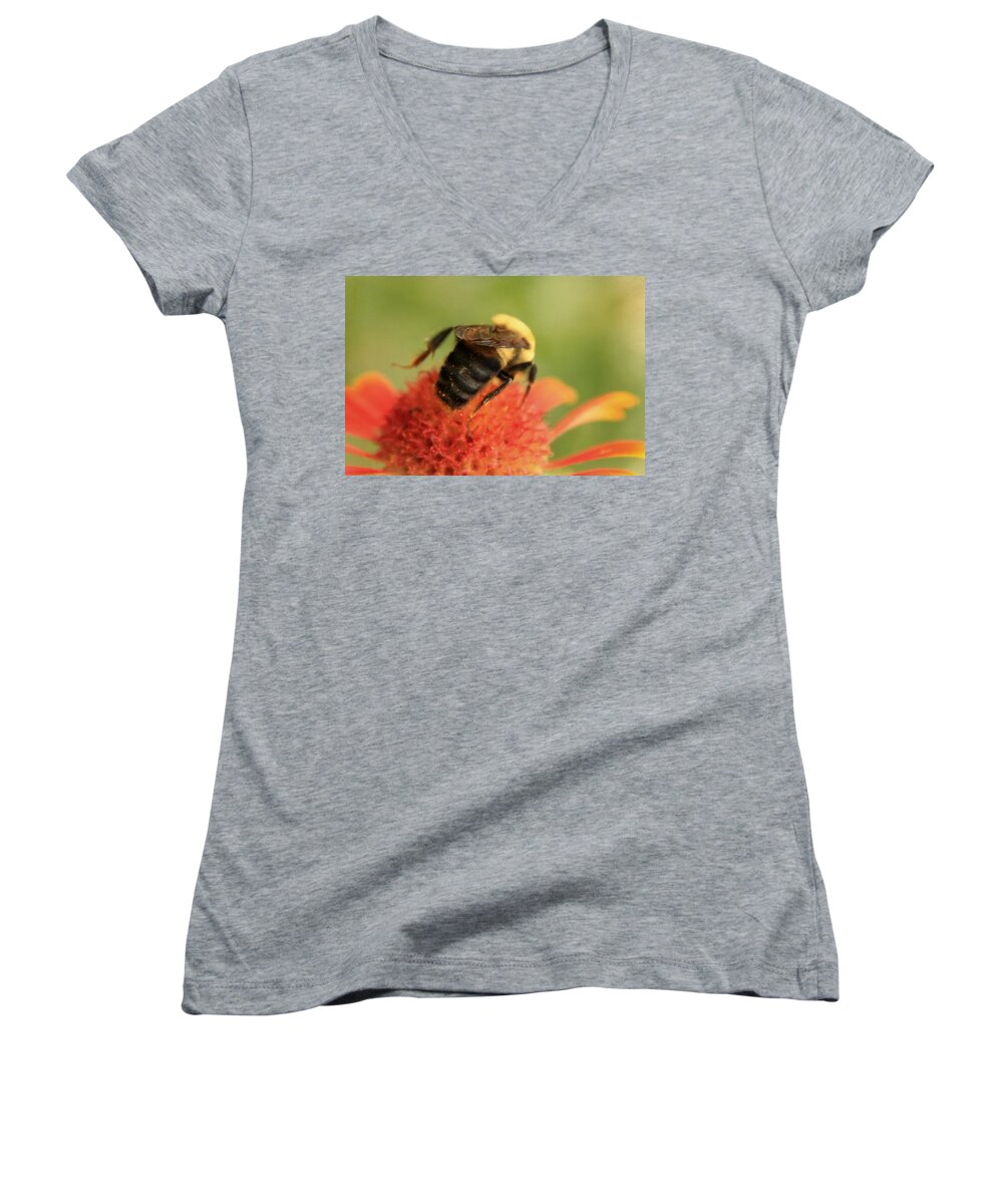 Insect Women's V-Neck featuring the photograph Bumblebee by Chris Berry