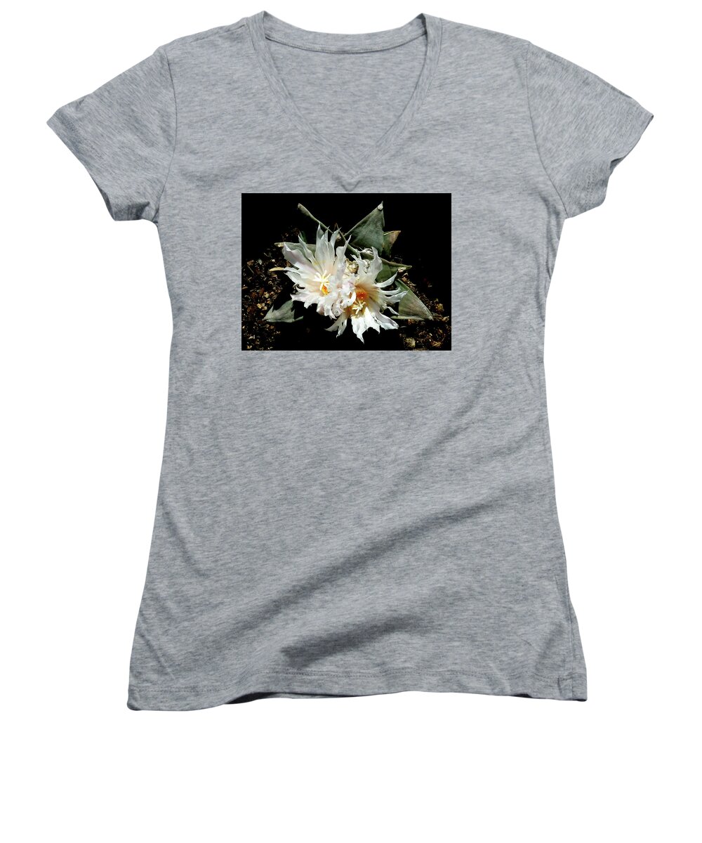 Cactus Women's V-Neck featuring the photograph Cactus Flower 9 2 by Selena Boron