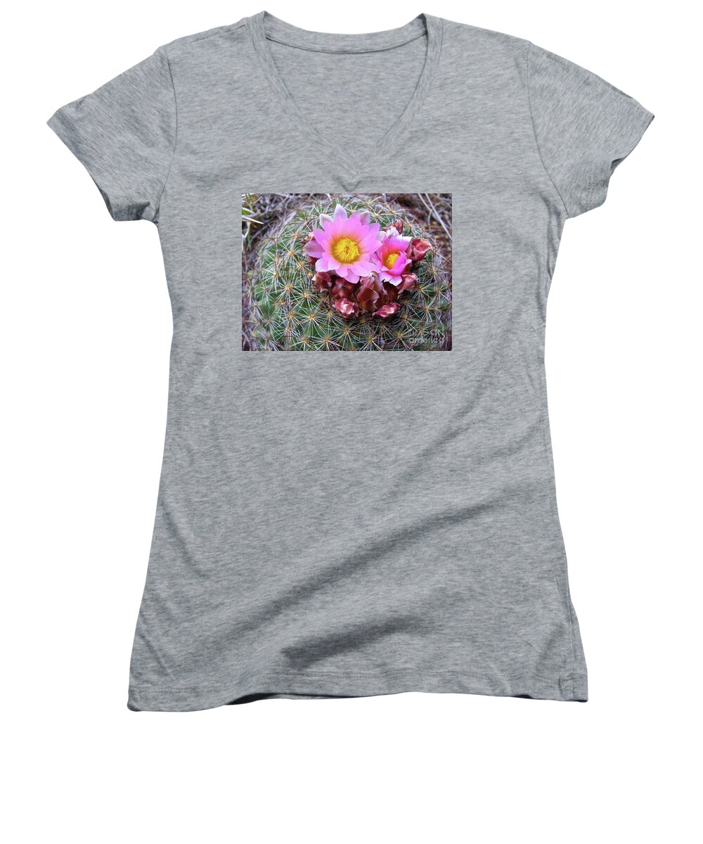 Cactus Flower Women's V-Neck featuring the painting Cactus Flower by Alan Johnson