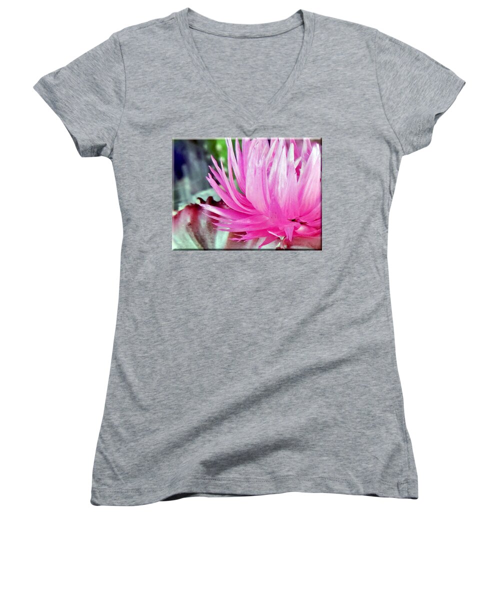 Flower Women's V-Neck featuring the photograph Cactus Flower by Mikki Cucuzzo