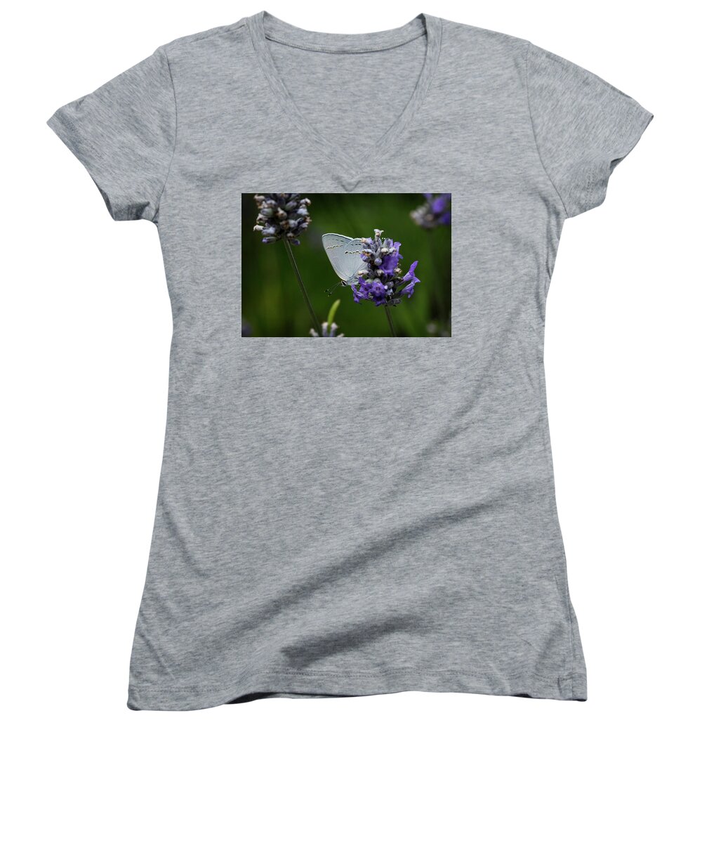 California Women's V-Neck featuring the photograph California Hairstreak Butterfly by Morgan Wright