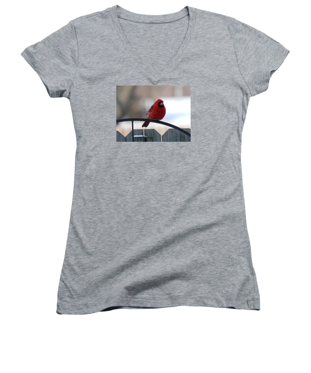 Cardinal Women's V-Neck featuring the photograph Cardinal Closeup by Sheri Simmons