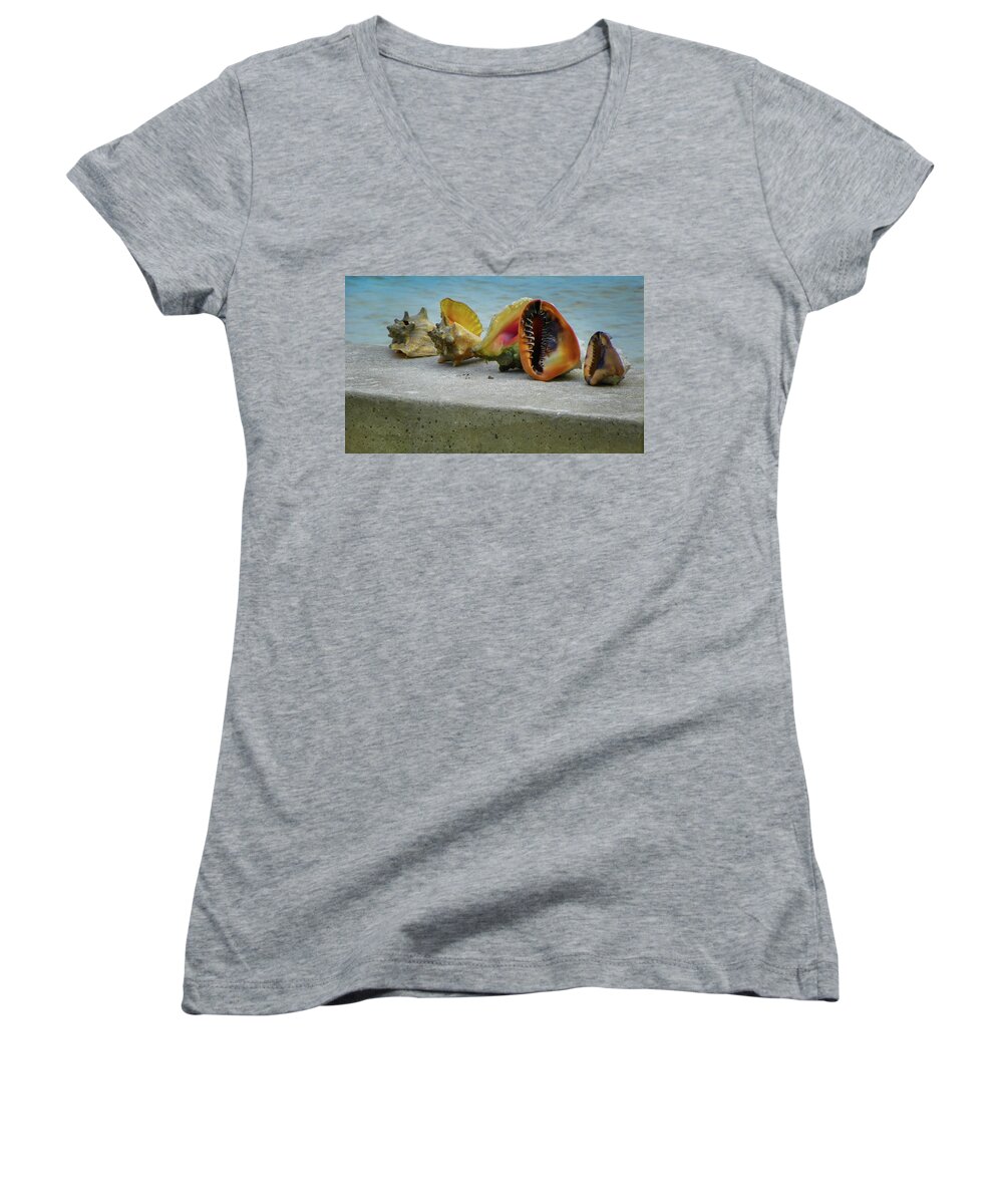 Conch Shells Women's V-Neck featuring the photograph Caribbean Charisma by Karen Wiles