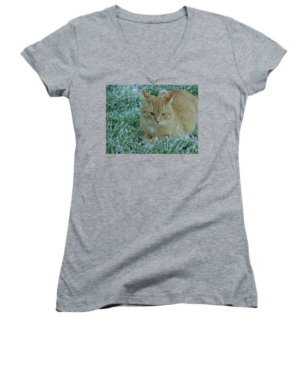 Green Women's V-Neck featuring the photograph Cat in Frosty Grass by Shirley Heyn