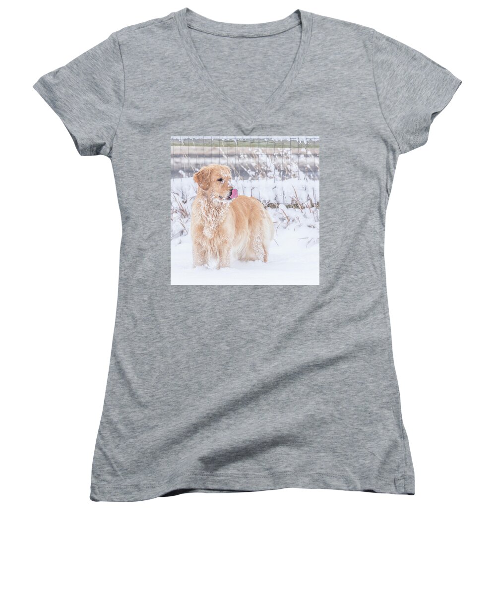 Golden Retriever Women's V-Neck featuring the photograph Catching Snowflakes by Jennifer Grossnickle