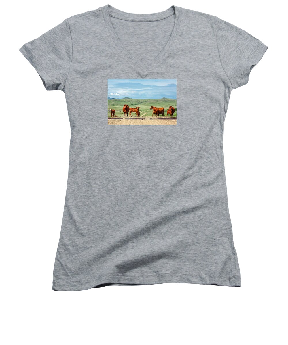 Cows Women's V-Neck featuring the photograph Cattle Guards by Todd Klassy