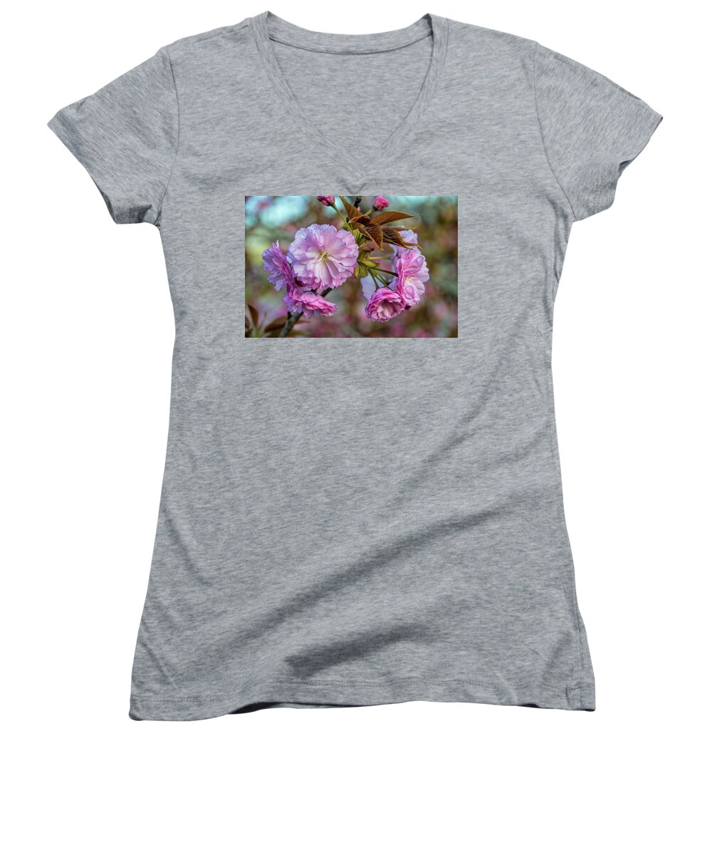 Cherry Women's V-Neck featuring the photograph Cherry Blossoms by Pat Cook