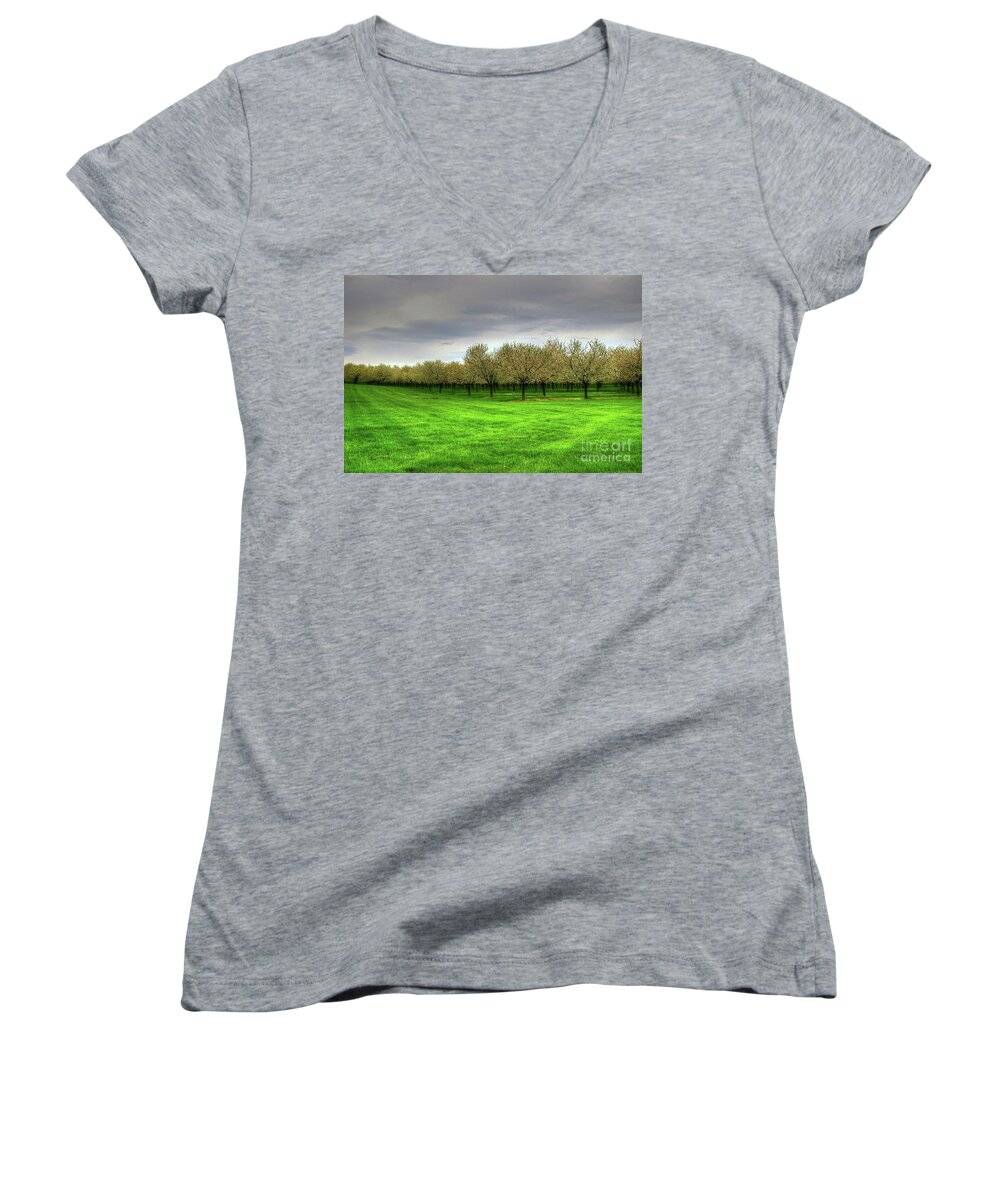 Cherry Women's V-Neck featuring the photograph Cherry Trees Forever by Randy Pollard