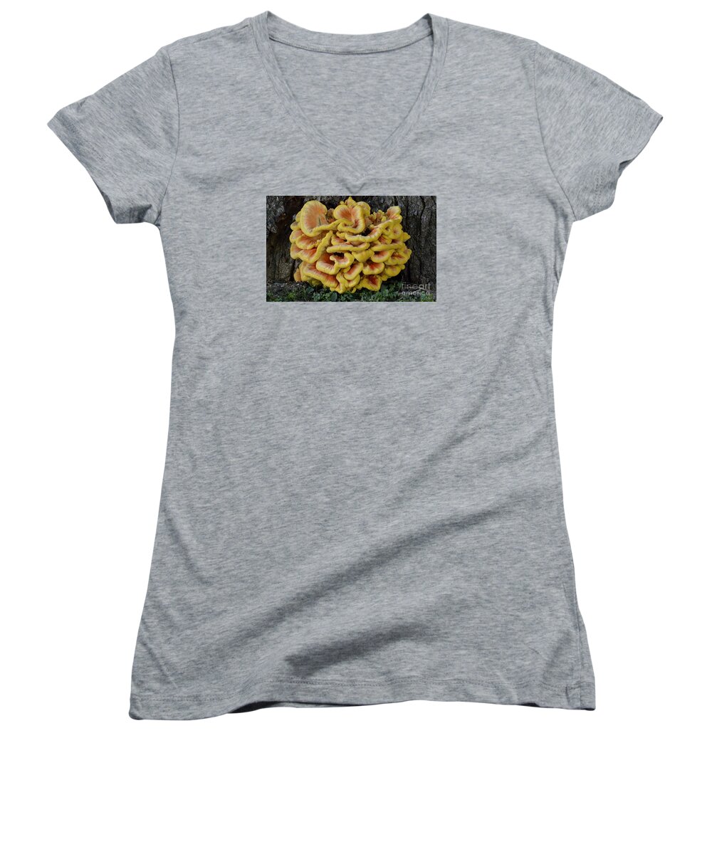 High Virginia Images Women's V-Neck featuring the photograph Chicken of the Woods by Randy Bodkins