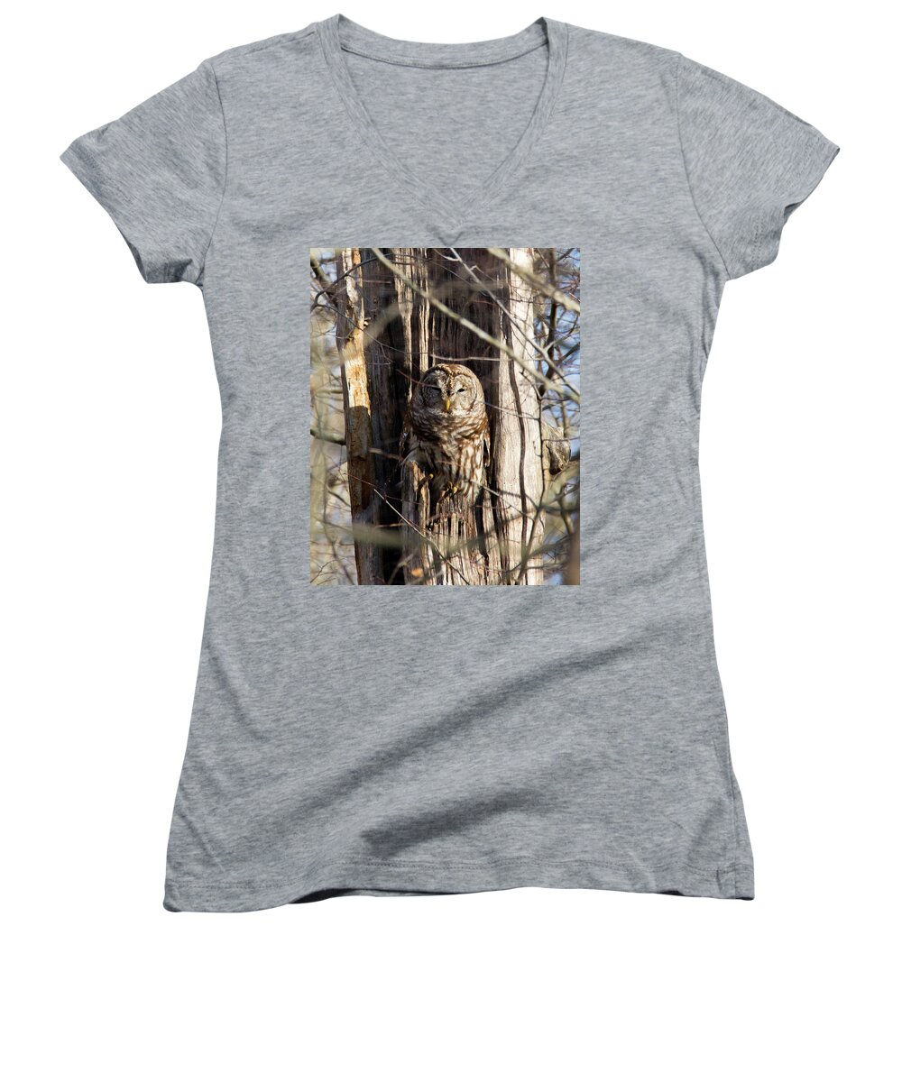 Barred Owl Women's V-Neck featuring the photograph Christmas Owl by Norberto Nunes