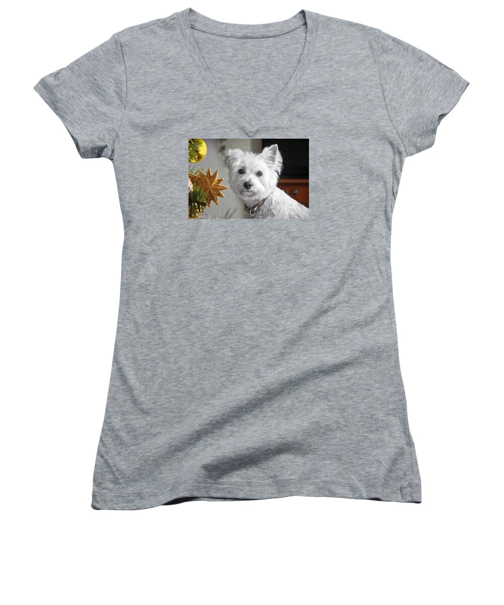 Bichon Frise Women's V-Neck featuring the photograph Christmas Star Puppy by Terri Waters