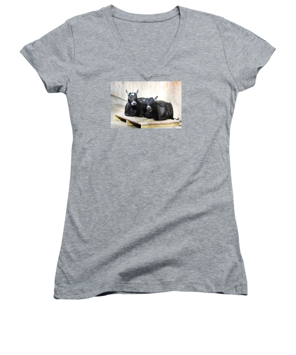 Animals Women's V-Neck featuring the photograph Close To You by Trina Ansel