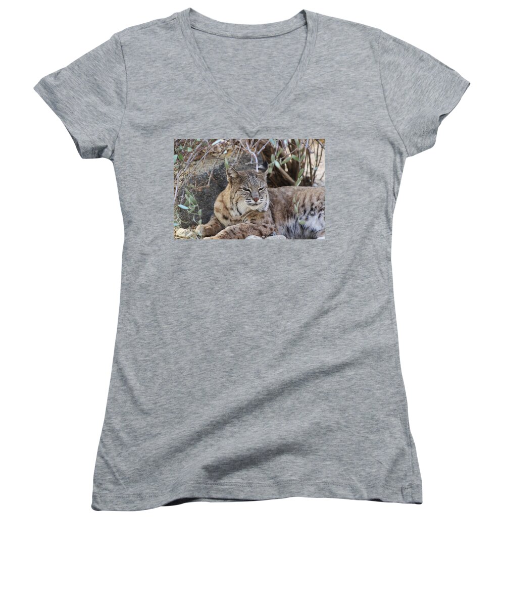 Bobcat Women's V-Neck featuring the photograph Closeup of Bobcat by Colleen Cornelius