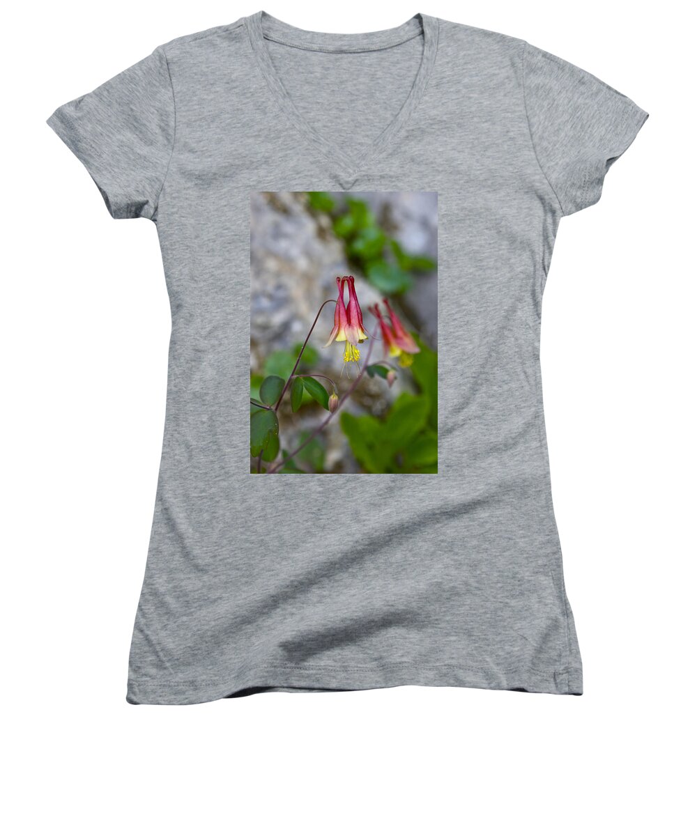 Beautiful Women's V-Neck featuring the photograph Columbine by Jack R Perry