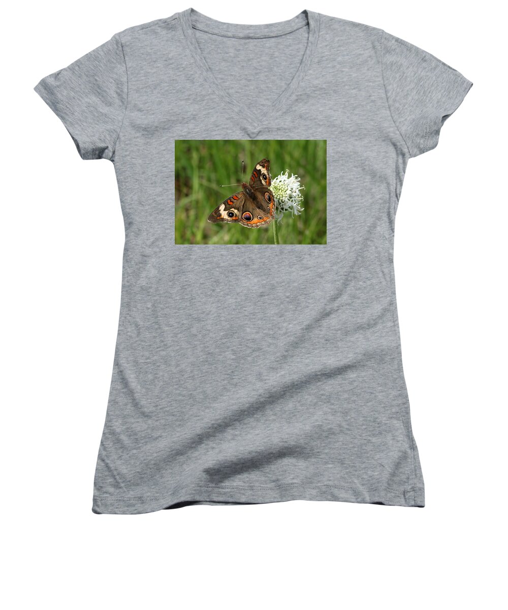 Nature Women's V-Neck featuring the photograph Common Buckeye Butterfly on Wildflower by Sheila Brown
