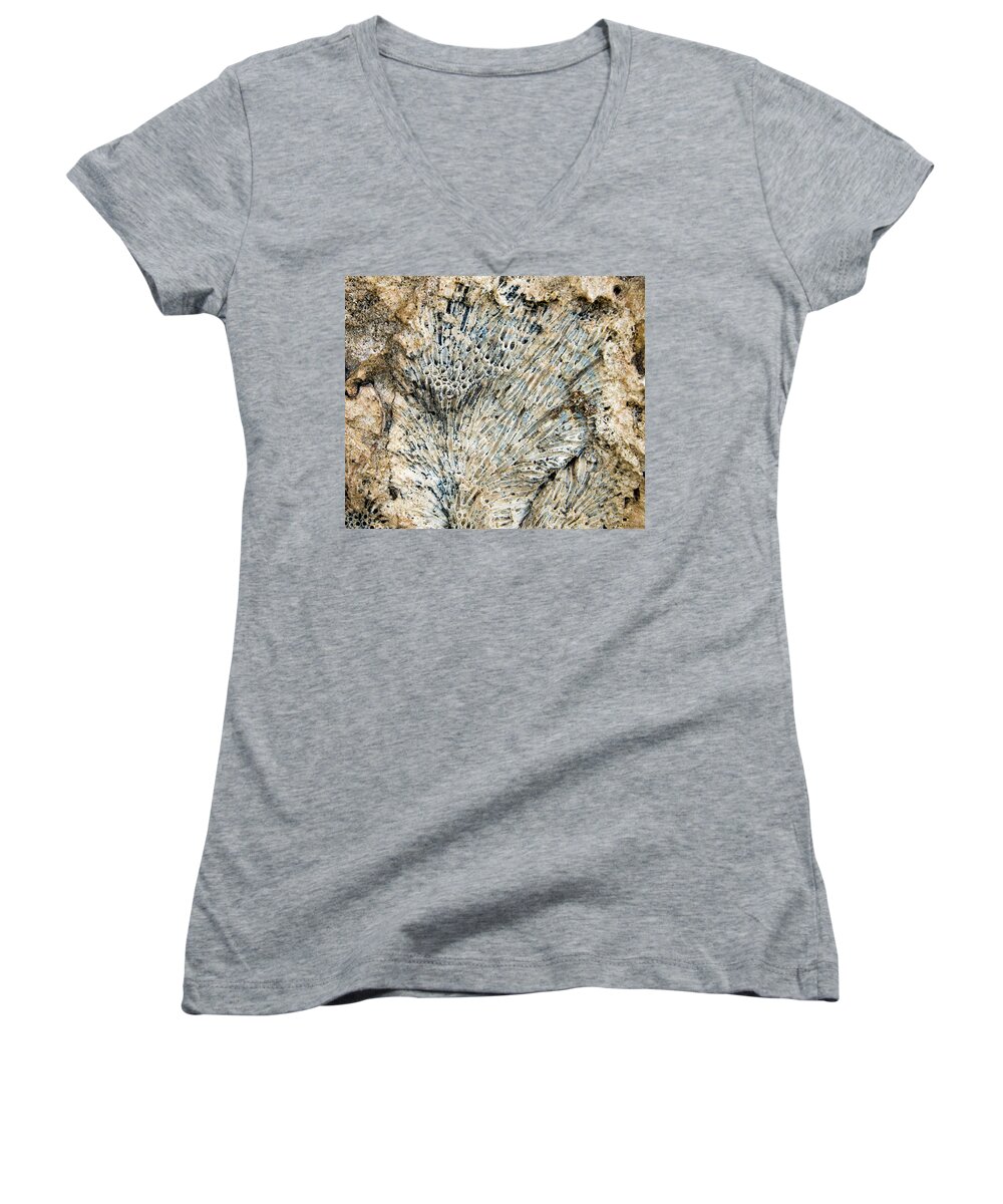 Bonaire Women's V-Neck featuring the photograph Coral Fossil by Jean Noren