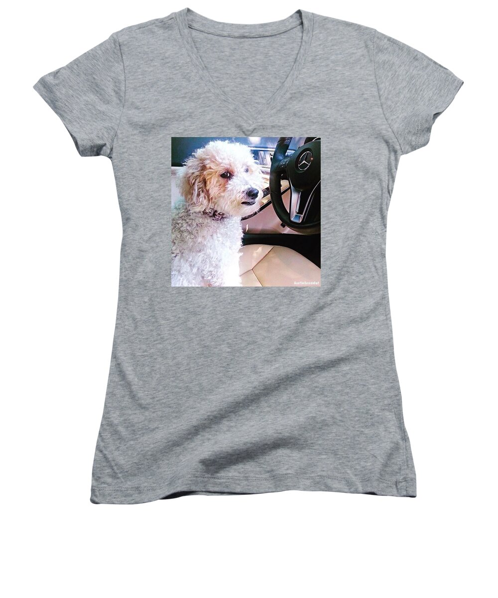 Wheel Women's V-Neck featuring the photograph Cousin Theo Is Behind The #wheel And by Austin Tuxedo Cat