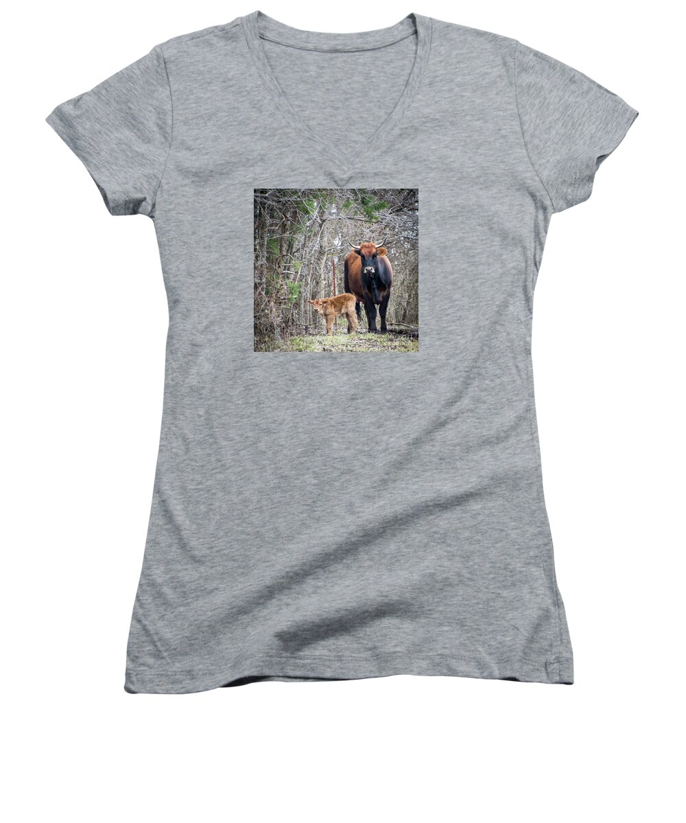 Cow Women's V-Neck featuring the photograph Cow and Calf by Cheryl McClure