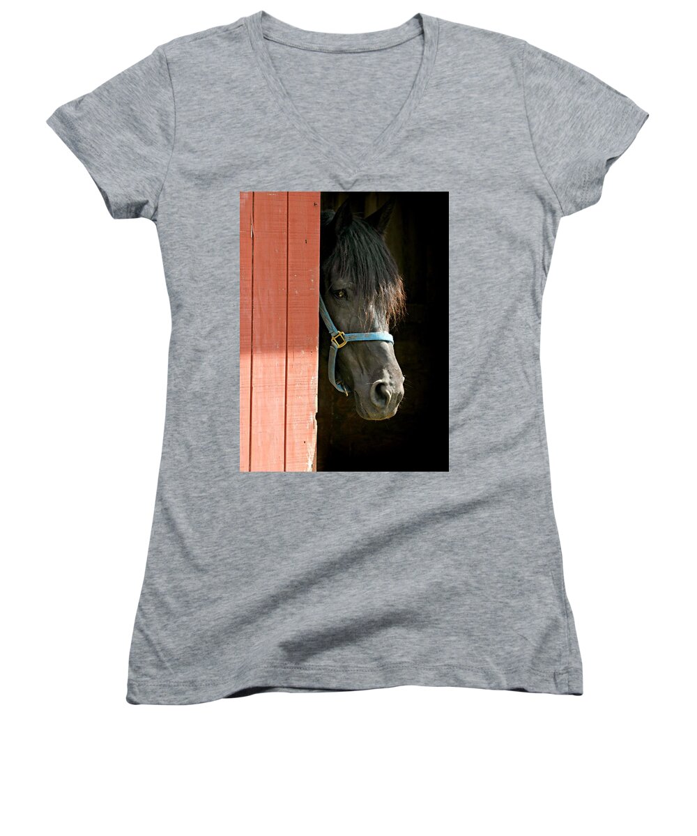 Coy Women's V-Neck featuring the photograph Coy Boy by Diana Angstadt