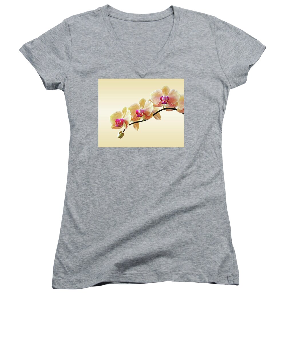 Yellow Orchid Women's V-Neck featuring the photograph Cream Delight by Gill Billington