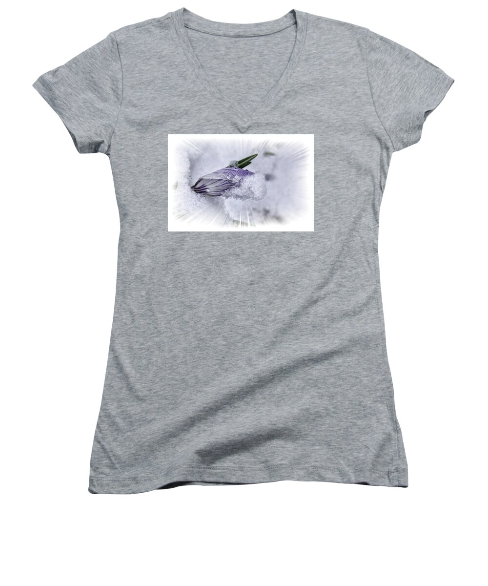 Crocus Women's V-Neck featuring the photograph Crocus Pushing Through Snow by Constantine Gregory