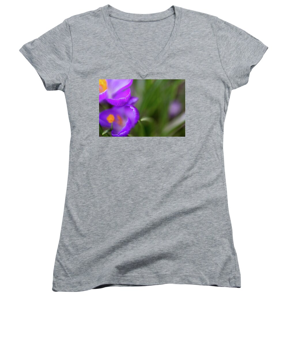 Purple Crocuses Women's V-Neck featuring the photograph Crocuses in bloom by Kunal Mehra