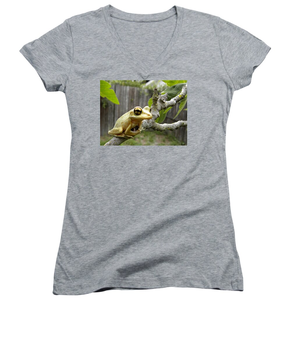 Cuban Tree Frog Women's V-Neck featuring the photograph Cuban Tree Frog 001 by Christopher Mercer