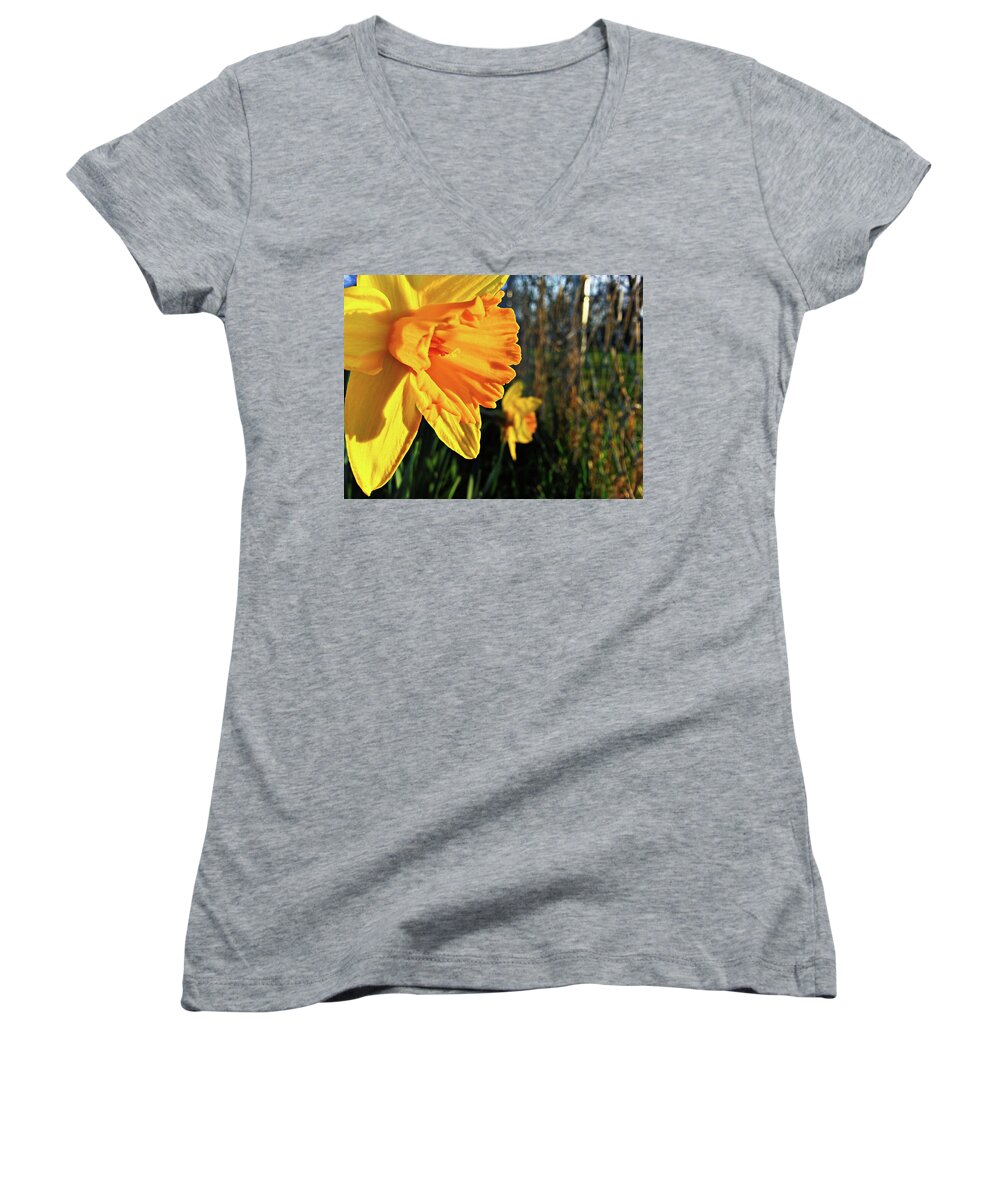Daffodil Women's V-Neck featuring the photograph Daffodil Evening by Robert Knight