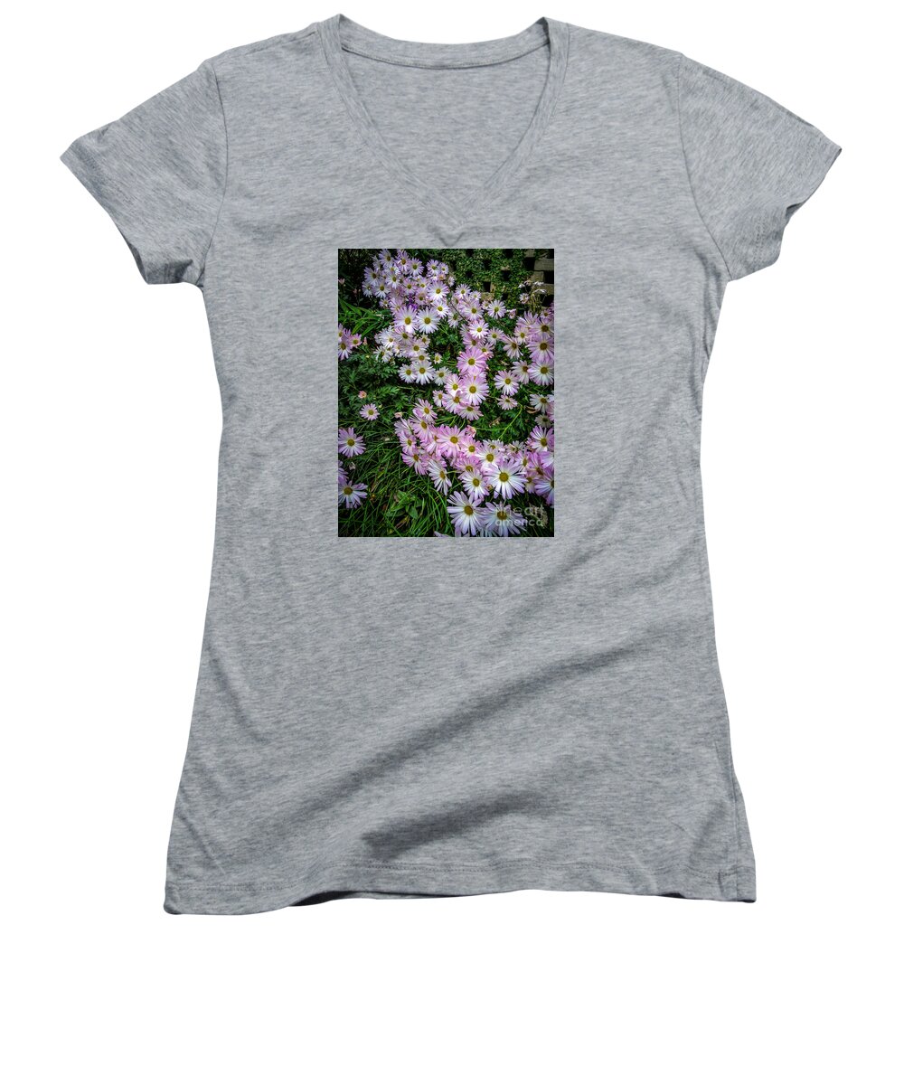 Daisy Women's V-Neck featuring the photograph Daisy Patch by David Smith