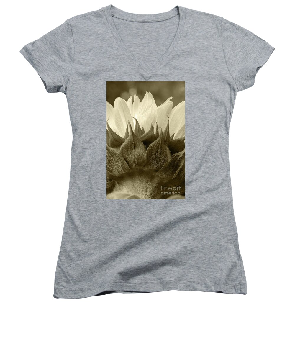 Dandelion Women's V-Neck featuring the photograph Dandelion in sepia by Micah May