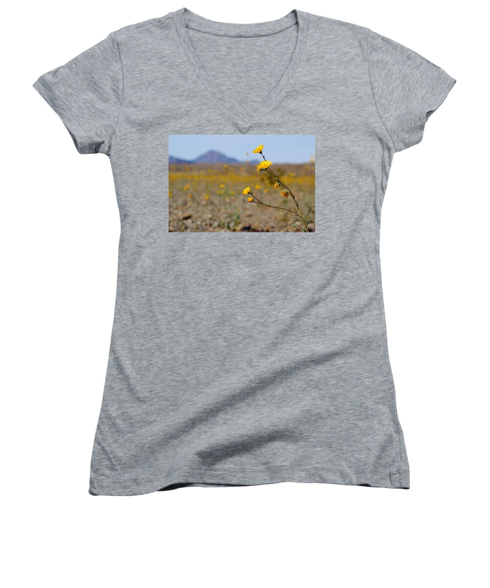 Superbloom 2016 Women's V-Neck featuring the photograph Death Valley Superbloom 501 by Daniel Woodrum