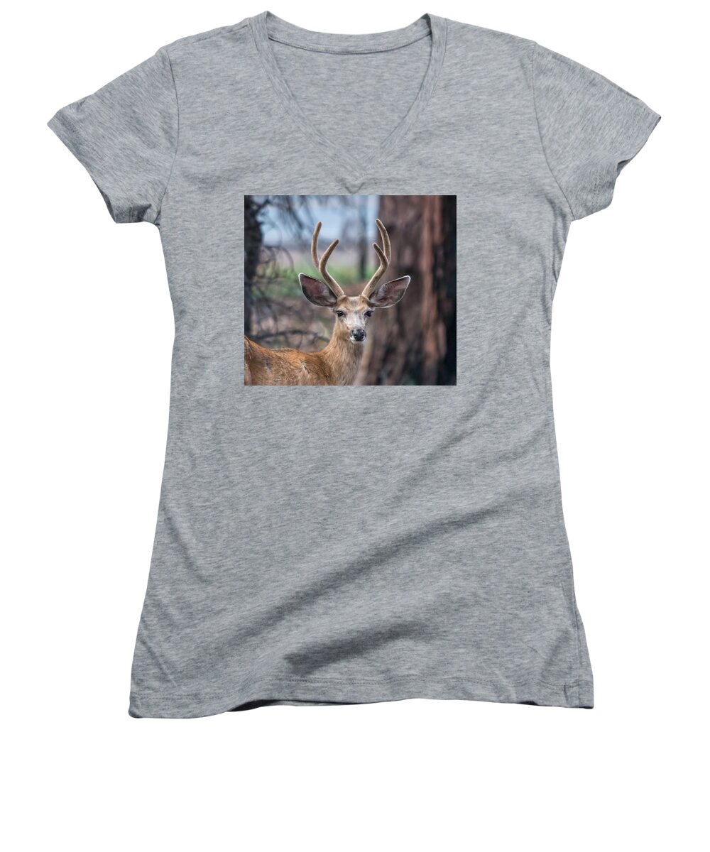 Deer Women's V-Neck featuring the photograph Deer Stare by Dorothy Cunningham