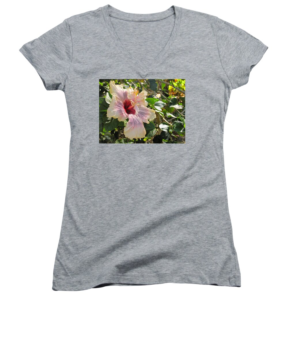 Flower Women's V-Neck featuring the photograph Delicate Expression by David Bader