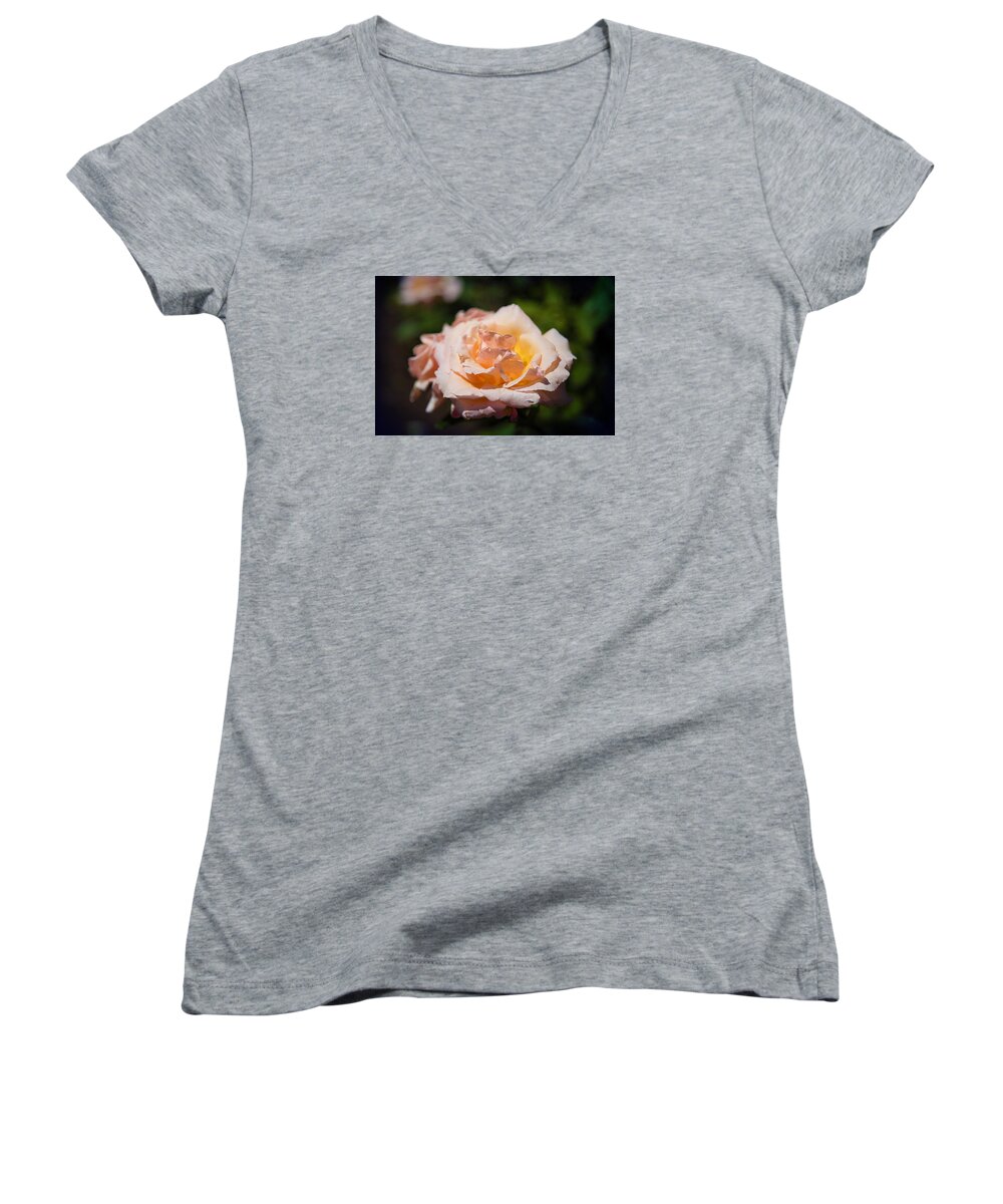 Rose Women's V-Neck featuring the photograph Delicate Rose by Milena Ilieva