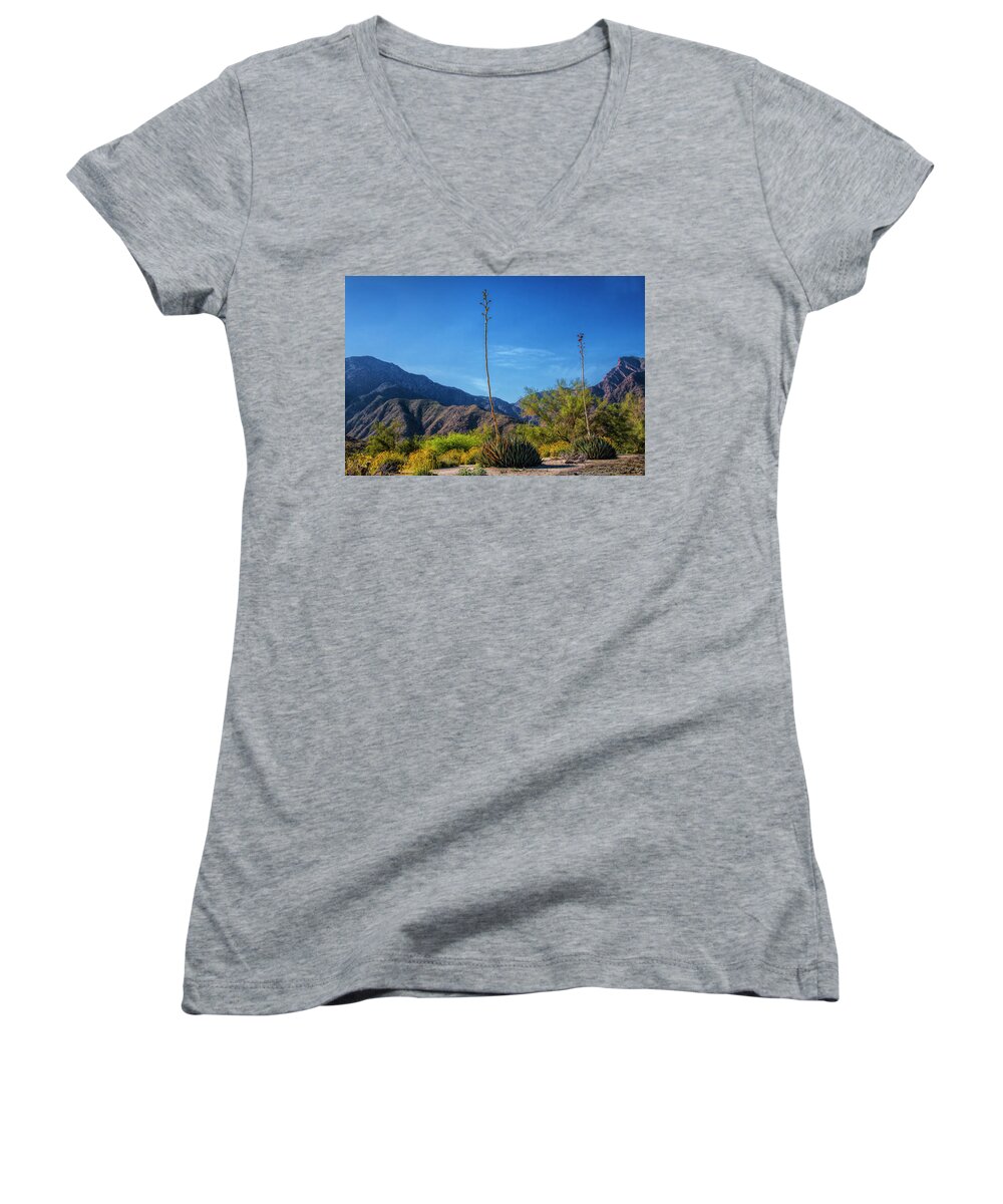 Art Women's V-Neck featuring the photograph Desert Flowers in the Anza-Borrego Desert State Park by Randall Nyhof