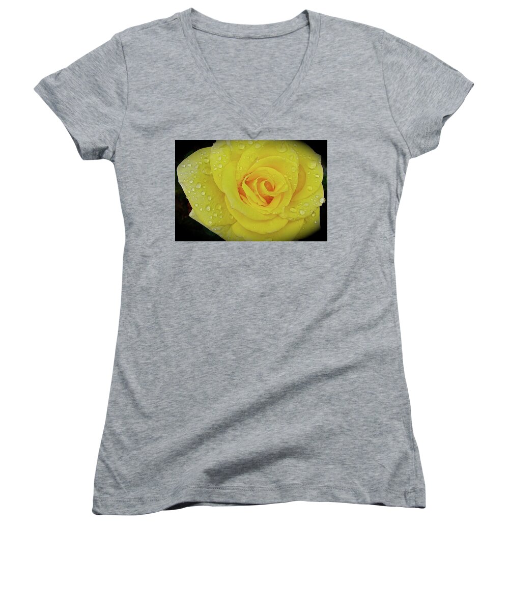 Nature Women's V-Neck featuring the photograph Dew Drenched by Diana Hatcher