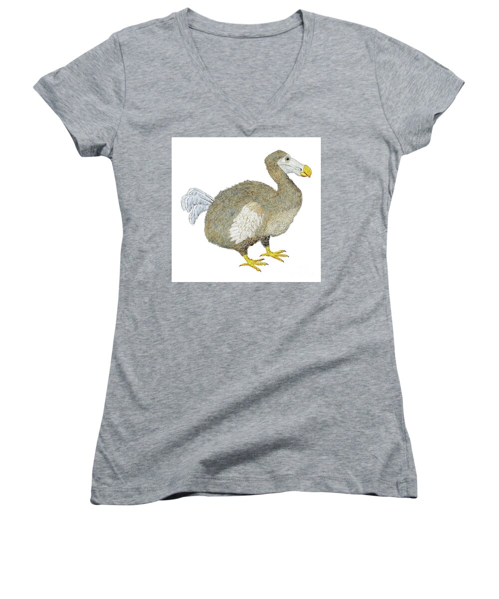 Dodo Women's V-Neck featuring the painting Dodo Bird Protrait by Thom Glace