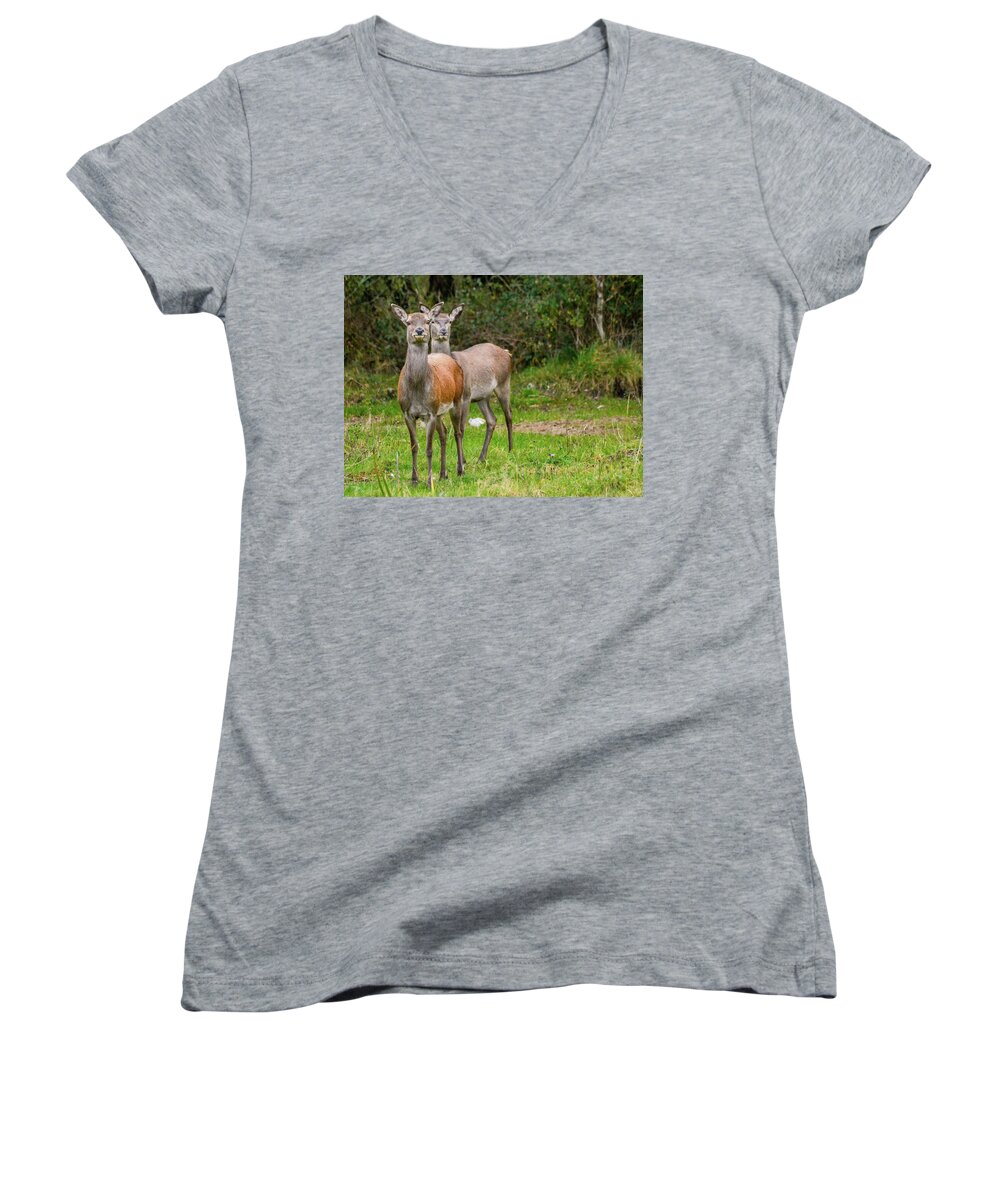Stag Women's V-Neck featuring the photograph Doe Eyed by Joe Ormonde