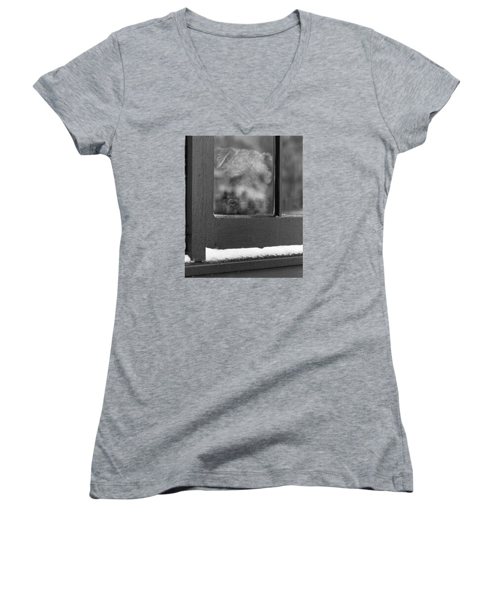 Animals Women's V-Neck featuring the photograph Doggy in the window by Paul Ross
