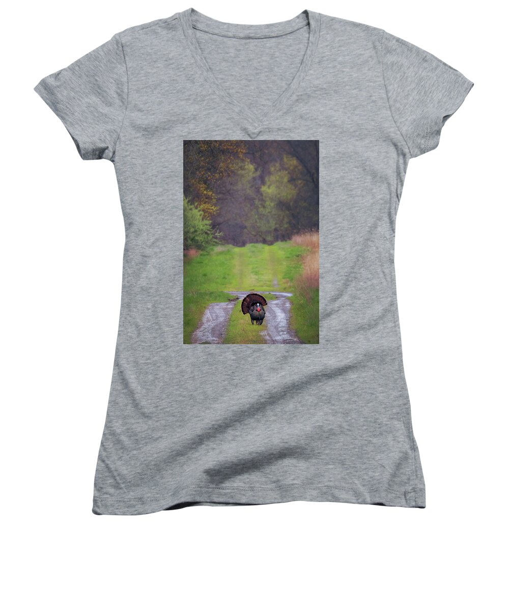 Turkey Women's V-Neck featuring the photograph Doing the Turkey Strut by Susan Rissi Tregoning
