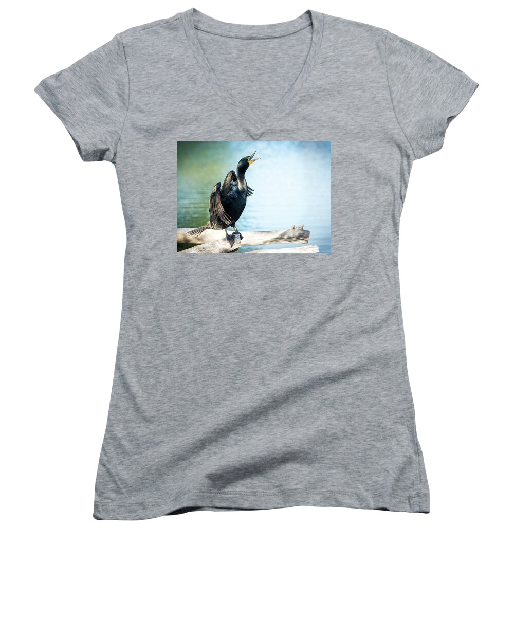 Cormorants Women's V-Neck featuring the photograph Double-Crested Cormorant by Judi Dressler