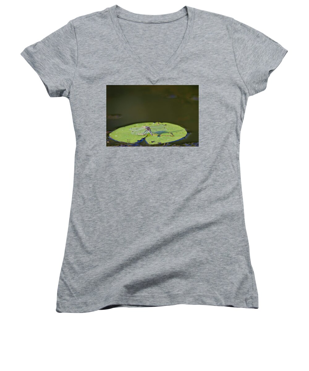 Dragonfly Women's V-Neck featuring the photograph Dragonfly by Benjamin Dahl
