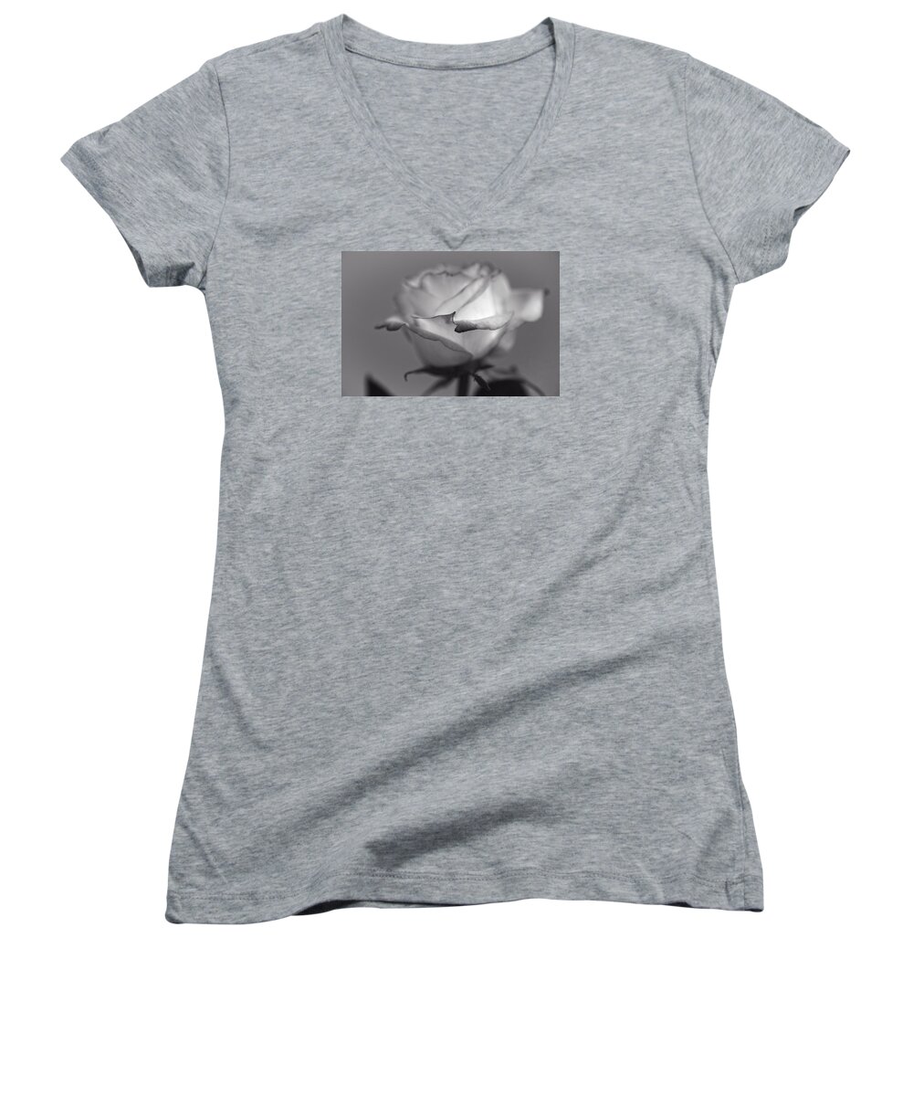Rose Women's V-Neck featuring the photograph Dream Come True by Lucinda Walter